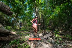 BIB: 
                            <button type="button" onclick="openModal(19388337)" class="btn btn-primary btn-sm float-right btn-popup" data-toggle="modal" data-target=".modal-high-quality">
                        <i class="fas fa-shopping-cart"></i> Add to Cart
                    </button>
                                            <button type="button" onclick="isThisMe(19388337, true)" class="btn btn-success btn-sm float-right btn-popup btn-isme hidden" data-toggle="tooltip" data-placement="bottom" title="นี่คือรูปของคุณใช่ไหม คลิกที่นี่เพื่อเอาเข้าอัลบั้ม">
                        <i class="fas fa-plus"></i> Add to album
                    </button>
                    <button type="button" onclick="isThisMe(19388337, false)" class="btn btn-warning btn-sm float-right btn-popup btn-isnotme hidden">
                        <i class="fas fa-ban"></i> Remove from album
                    </button>